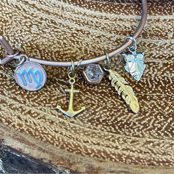 Origami Owl CORE Hexagon Bangle Bracelet Sterling Silver Charms Scorpio Feather - Picture 3 of 11